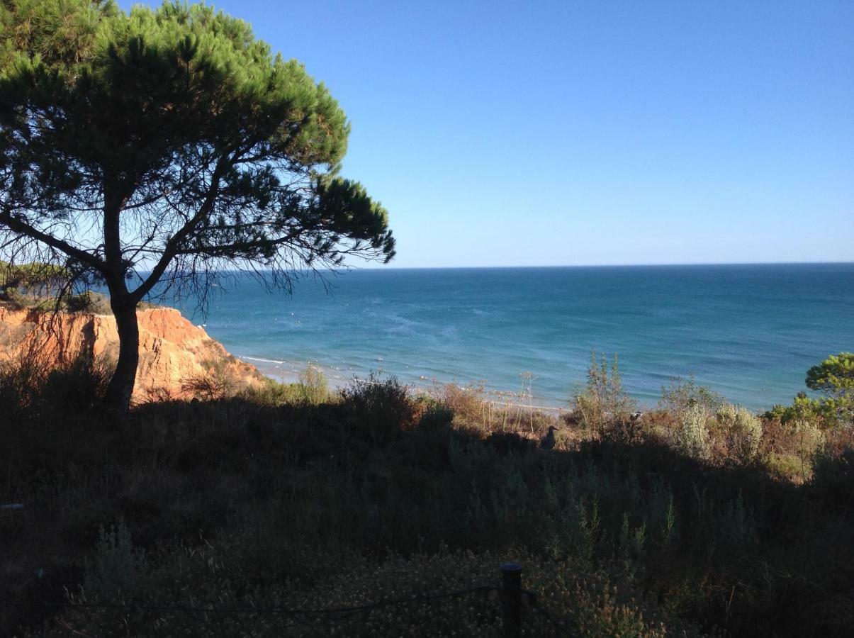 Sailing Studio Acoteias Albufeira Luaran gambar